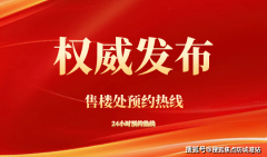 解答项目购房政策等问题）